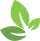 Forest Insights Logo
