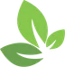 Forest Insights Logo